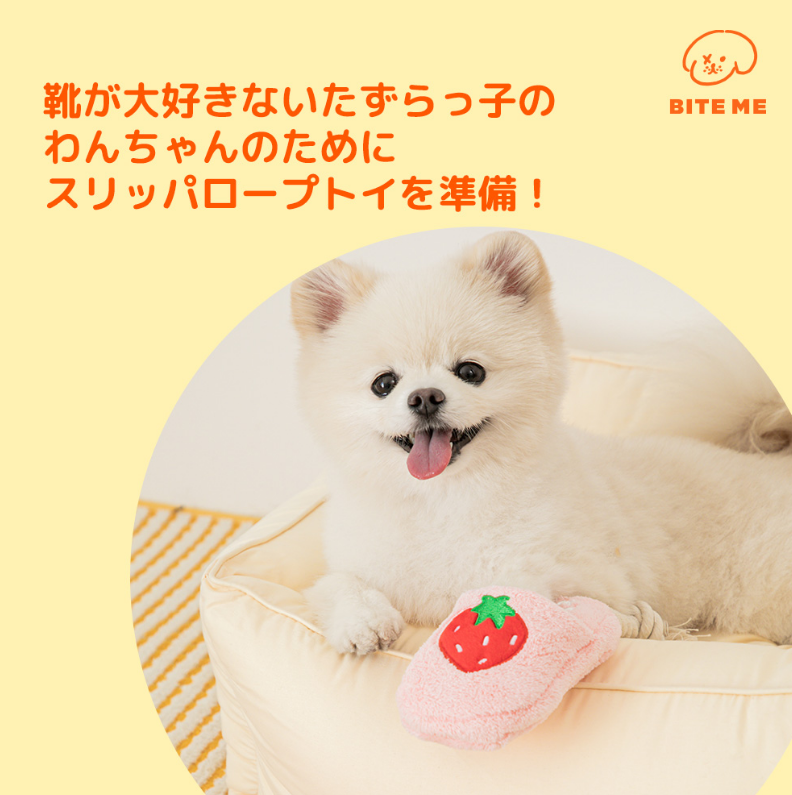 Slipper Rope Toy