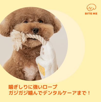 Slipper Rope Toy