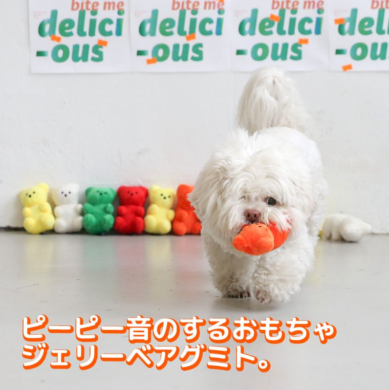 Teddy Bear Toy