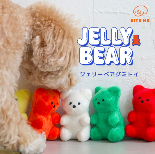 Teddy Bear Toy